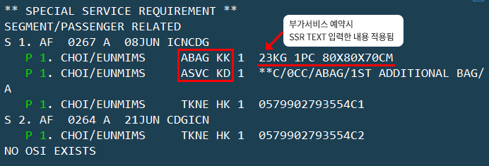 Special Service Requirement (SSR ASVC) ¹Ý¿µ È®ÀÎ