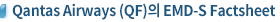Airline Name